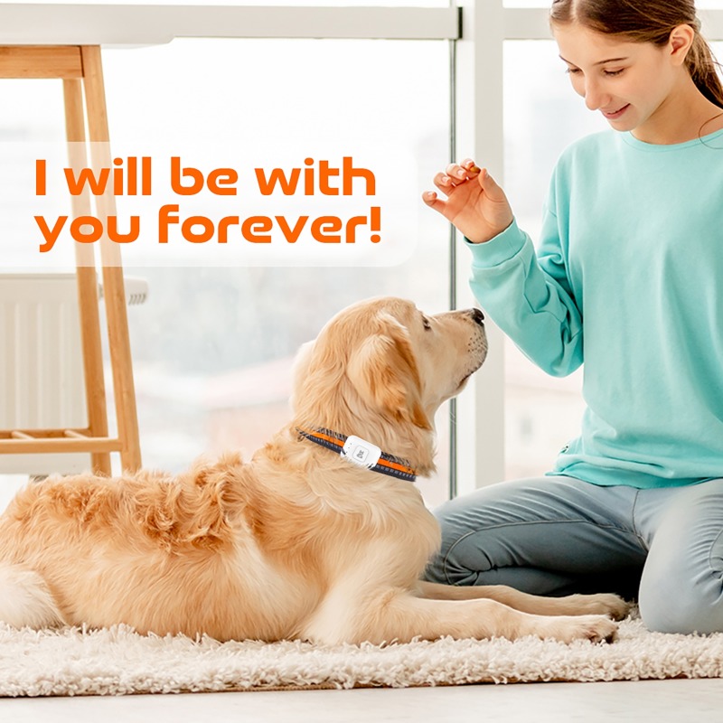 Pet GPS AGPS Tracking Device 4 - Pet Supplies Direct 评论和价格