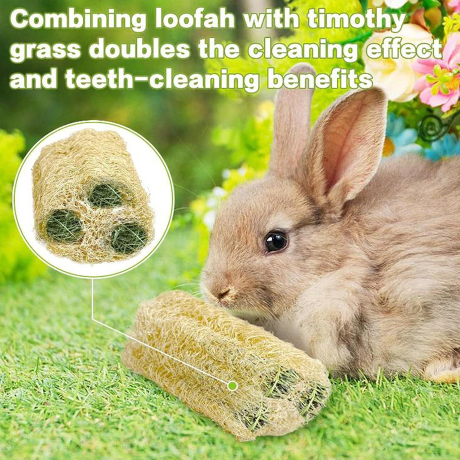 Chew Toys For Bunnies 4 Pieces - Pet Supplies Pet Shop 评论和价格