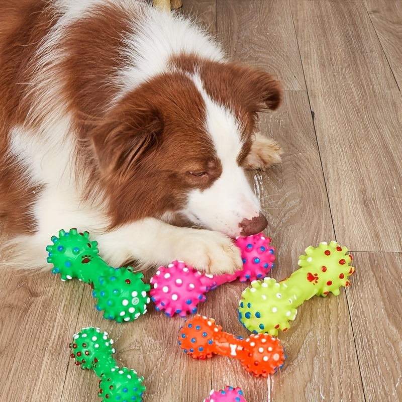 Dog Toys For Large Dogs 1 PC L - Pet Supplies Pet Shop 评论和价格
