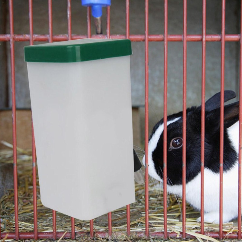 Pet Drinker Water Bottle Dispe - Pet Supplies Direct 评论和价格