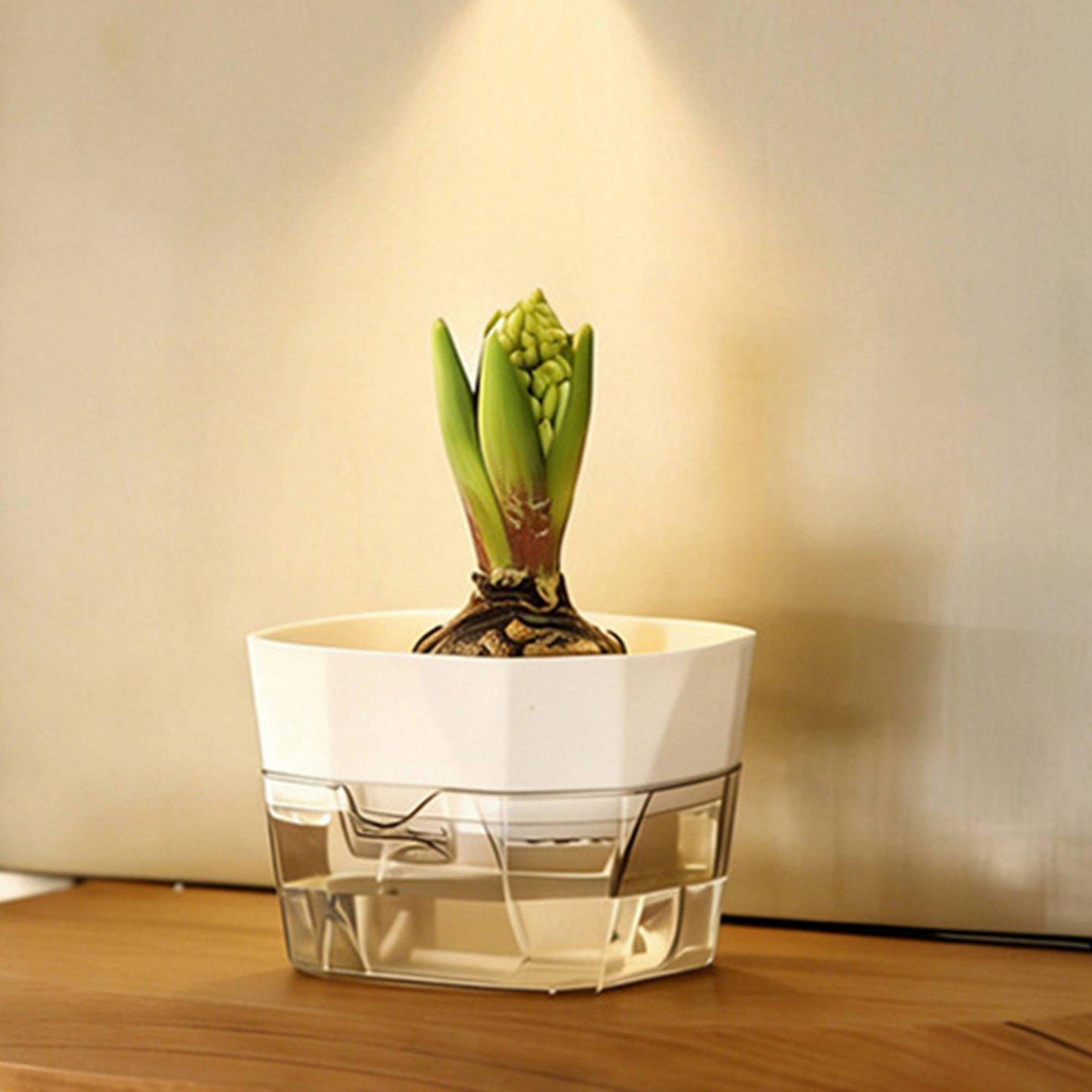 Hydroponic Vase Two Layer Self - Pet Supplies Usa 评论和价格