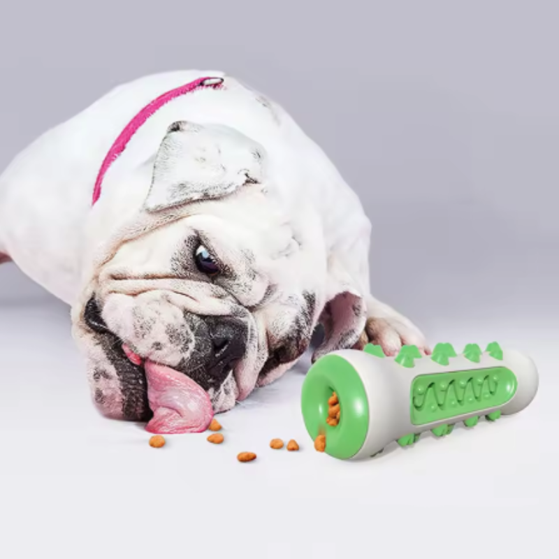 Safe Puppy Dental Care Dog Mol - Pet Supplies Direct 评论和价格