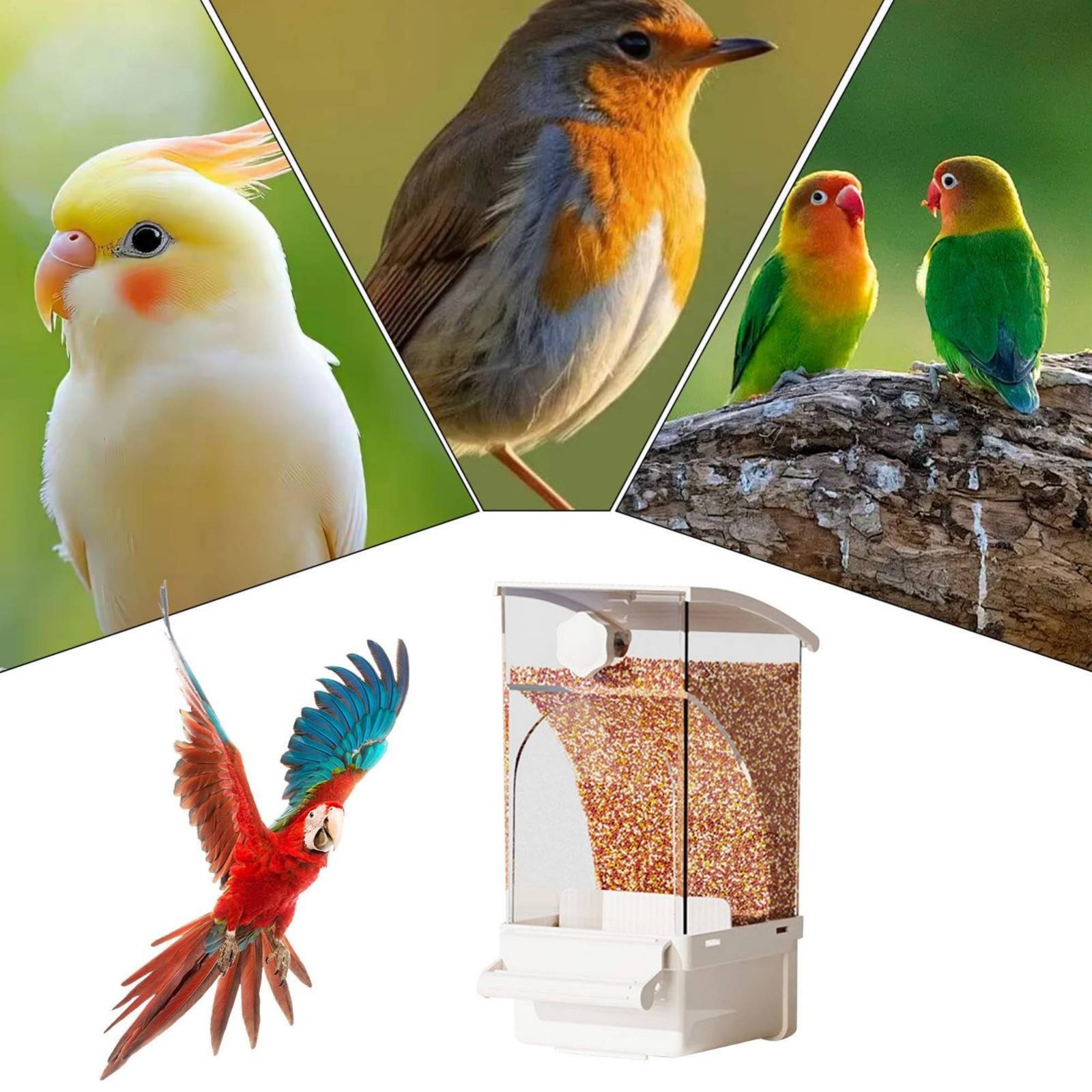 Automatic Avian Feeder Husk Se - Pet Supplies Usa 评论和价格