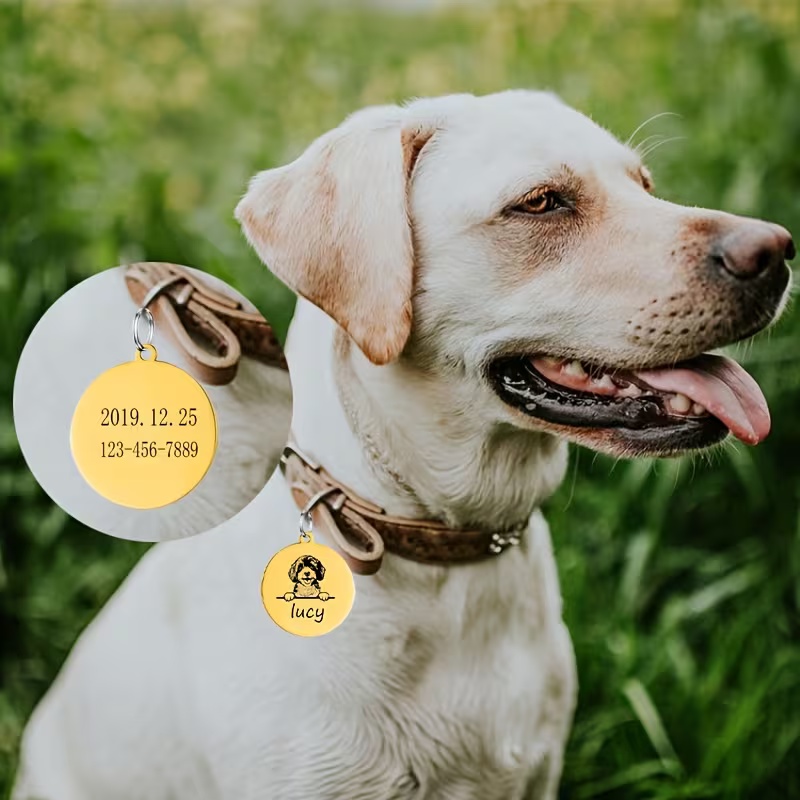 Custom Pet Name Puppy Anti-los - Pet Supplies Direct 评论和价格