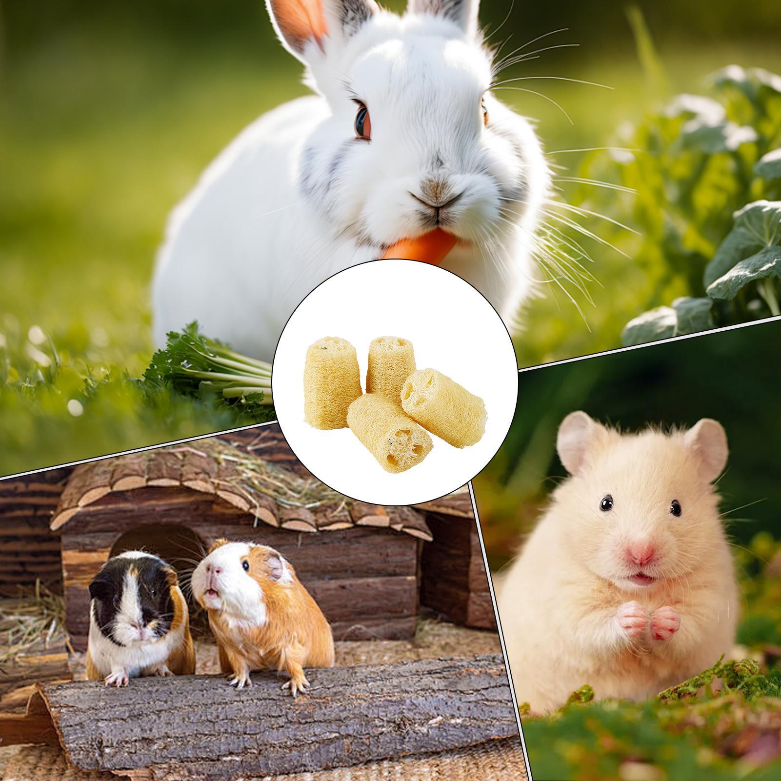 Chew Toys For Bunnies 4 Pieces - Pet Supplies Pet Shop 评论和价格