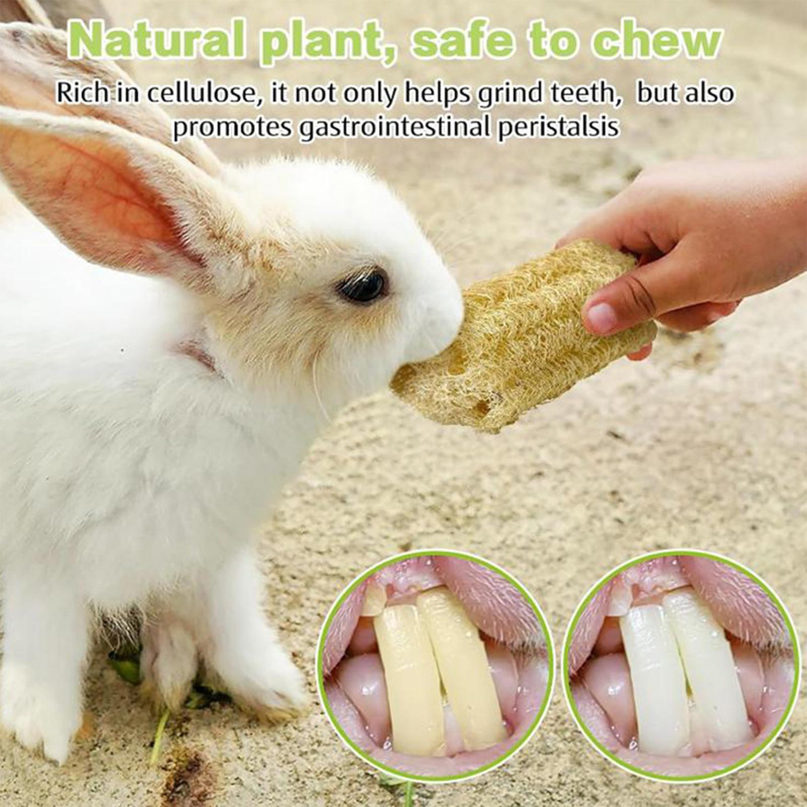 Chew Toys For Bunnies 4 Pieces - Pet Supplies Pet Shop 评论和价格