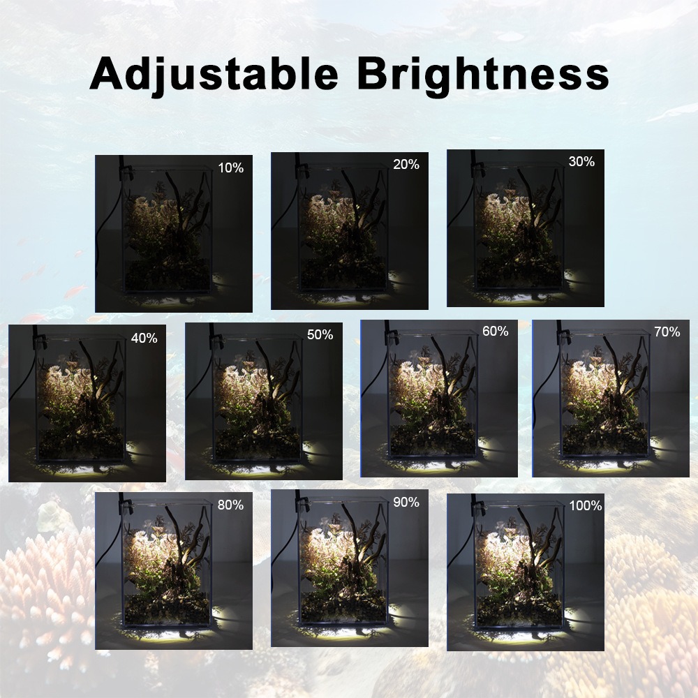 Super Slim LED Aquarium Light  - Pet Supplies Pet Shop 评论和价格